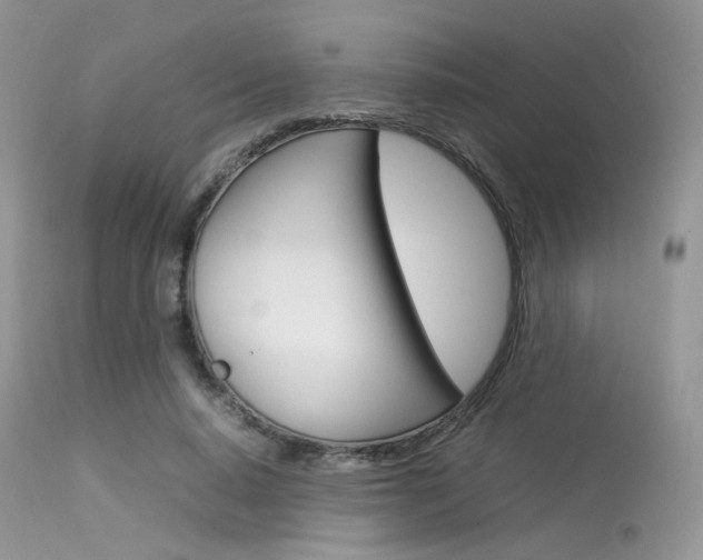 X0000113620640200909181117