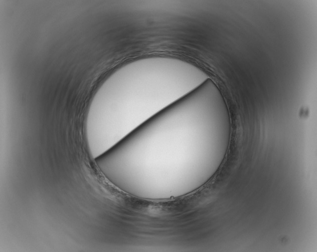 X0000113620641200909181117