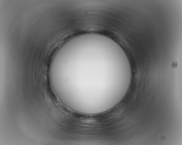 X0000113620643200909181117