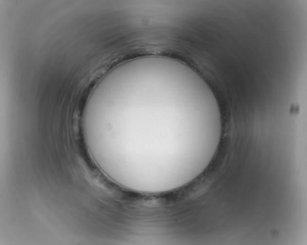 X0000113620646200909181117