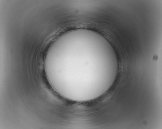 X0000113620648200909181117