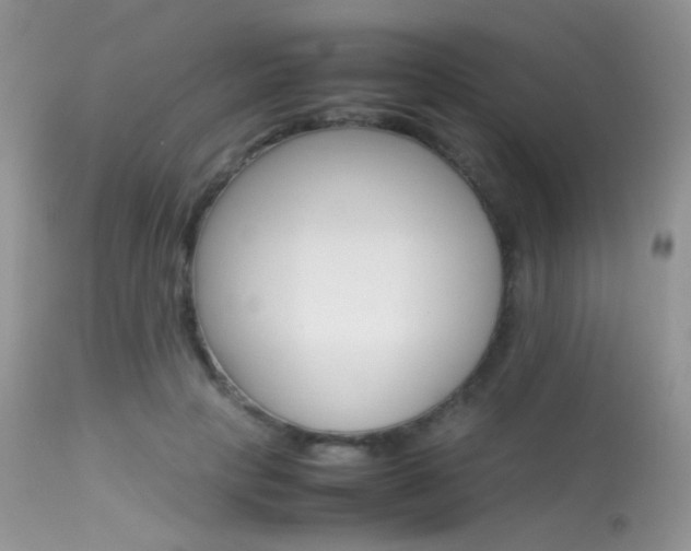 X0000113620649200909181117