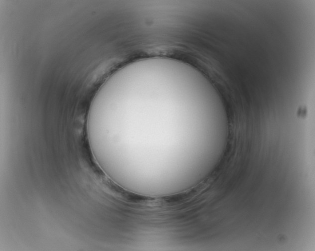 X0000113620652200909181117