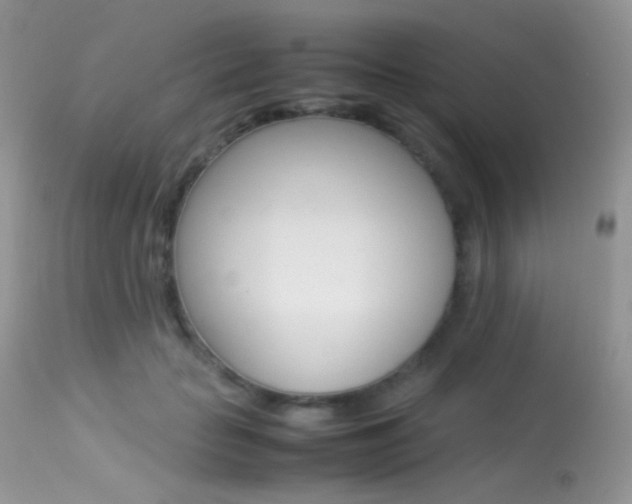 X0000113620653200909181117