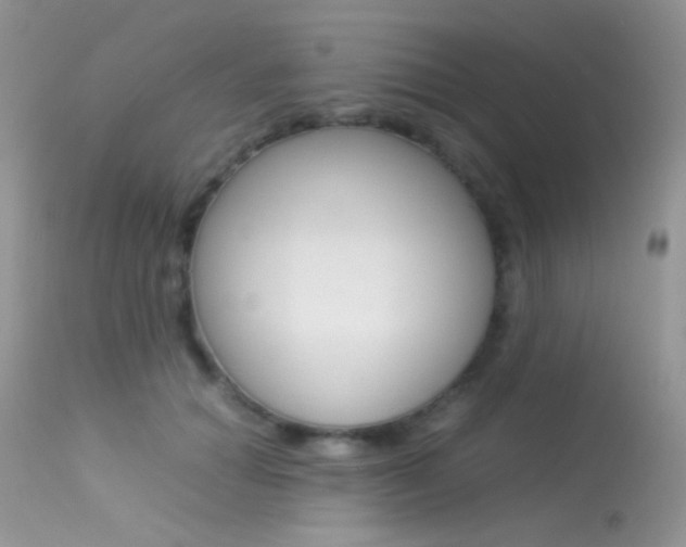 X0000113620654200909181117