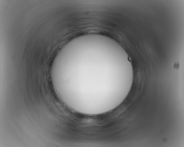 X0000113620655200909181117