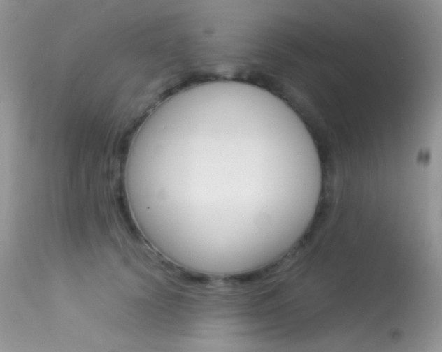 X0000113620656200909181117