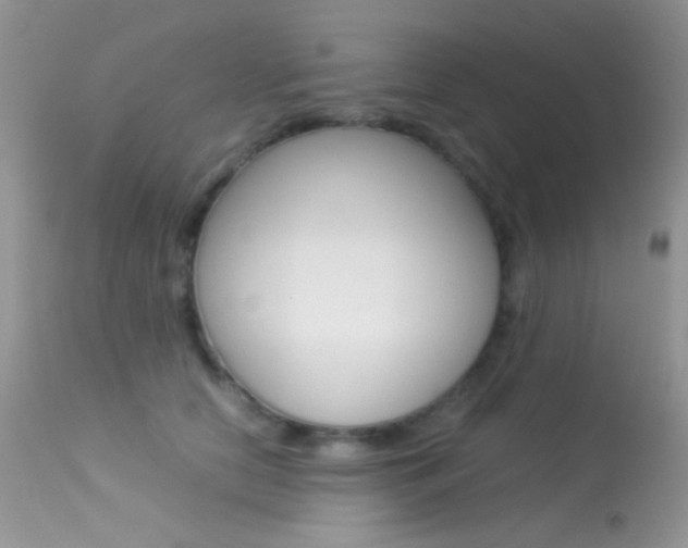 X0000113620658200909181117