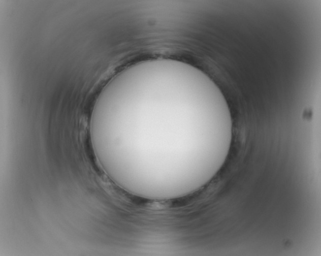 X0000113620660200909181117