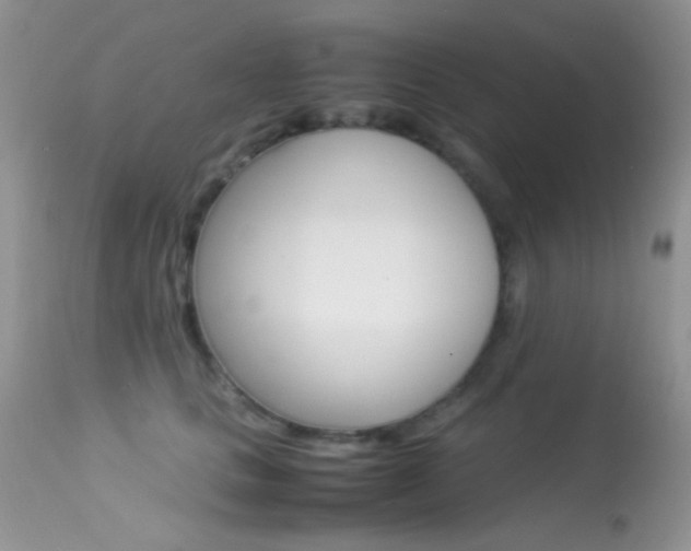 X0000113620661200909181117