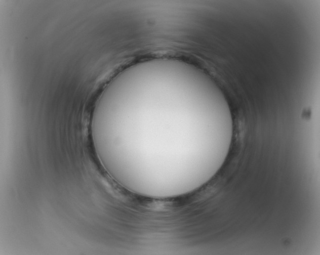 X0000113620664200909181117