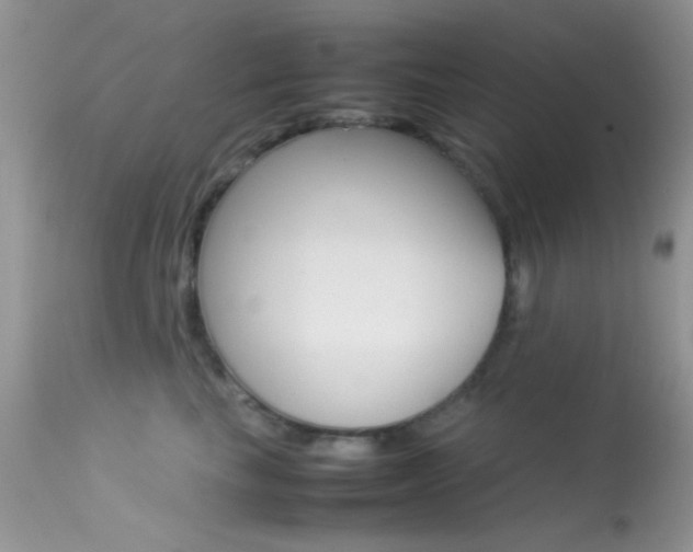 X0000113620665200909181117