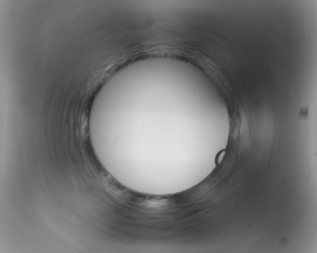 X0000113620669200909181117