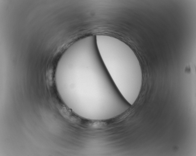 X0000113620670200909181117