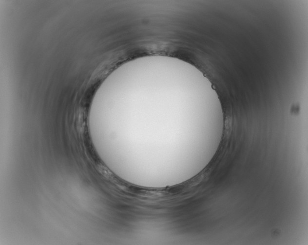 X0000113620671200909181117