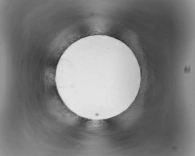 X0000113620672200909181117