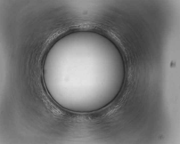 X0000113620673200909181116