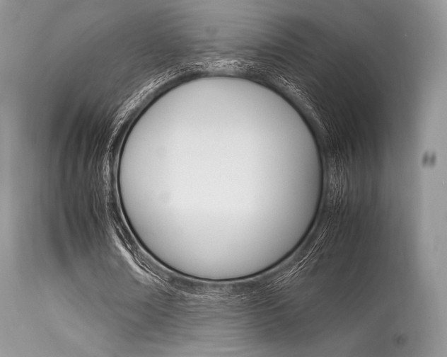 X0000113620674200909181116