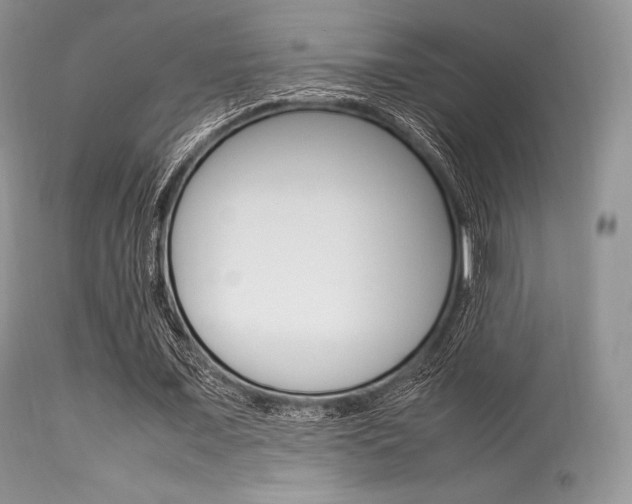 X0000113620675200909181116