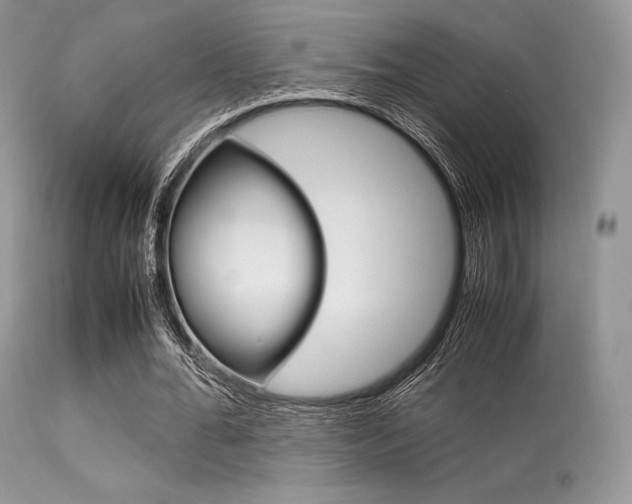 X0000113620676200909181116