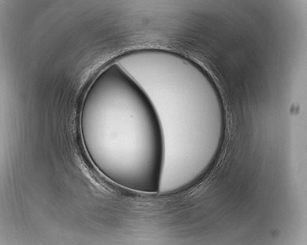 X0000113620677200909181116