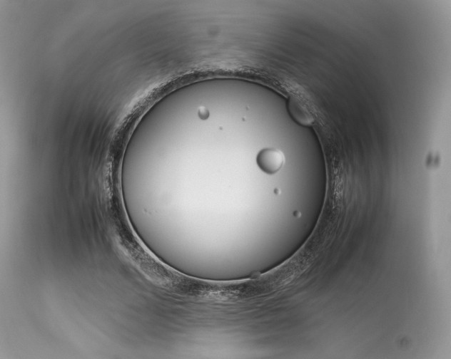 X0000113620680200909181116