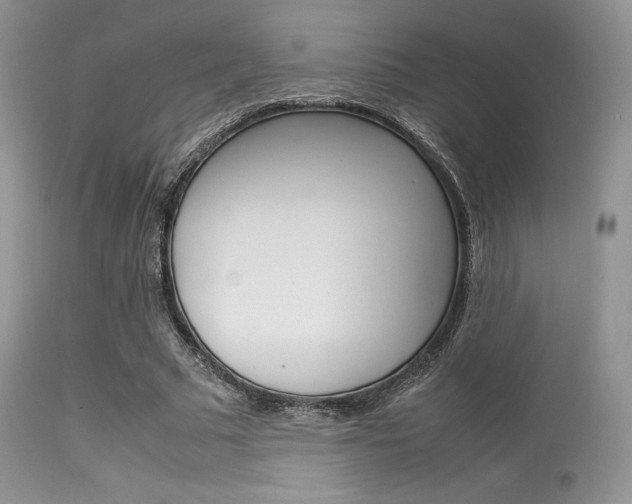 X0000113620681200909181116