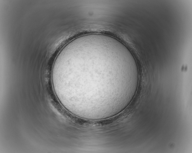 X0000113620683200909181116