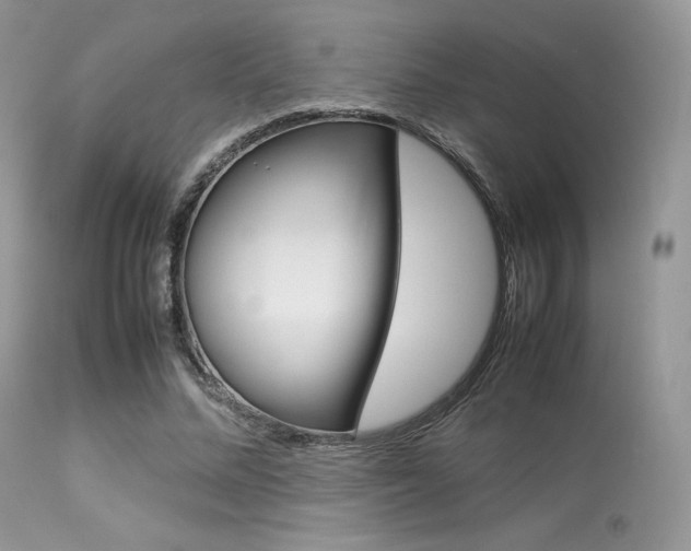 X0000113620684200909181116