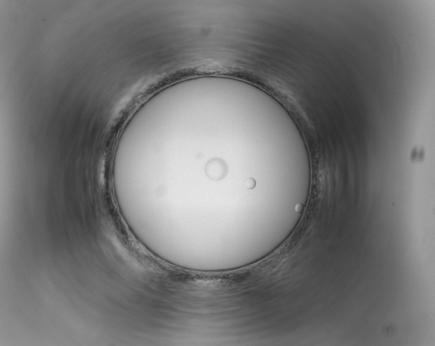 X0000113620686200909181116