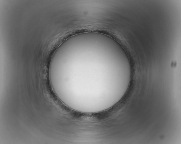 X0000113620689200909181116