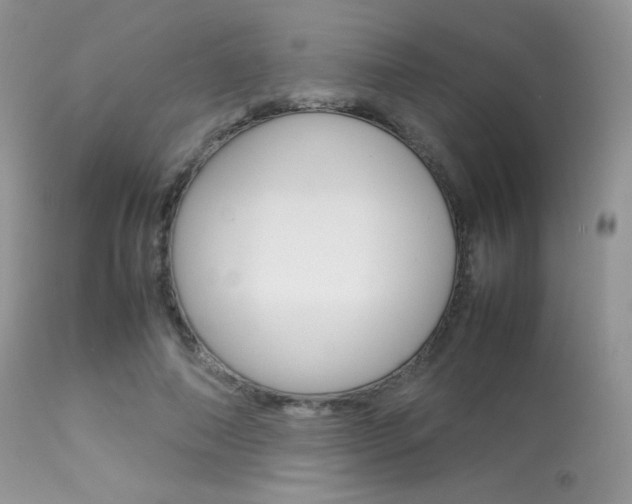 X0000113620690200909181116