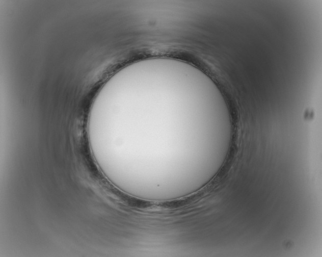 X0000113620691200909181116