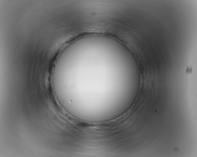 X0000113620692200909181116