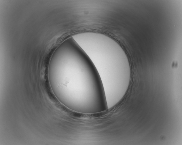 X0000113620693200909181116