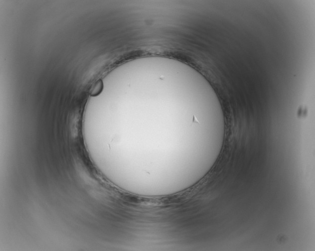 X0000113620694200909181116