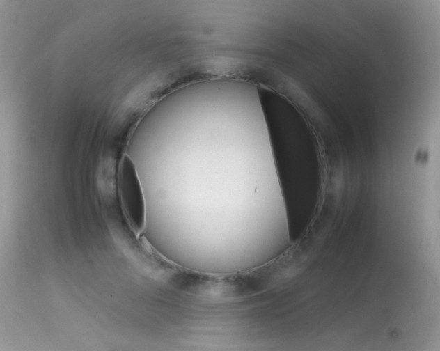 X0000113620696200909181116