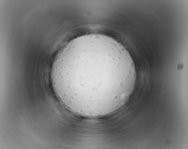 X0000113620698200909181116