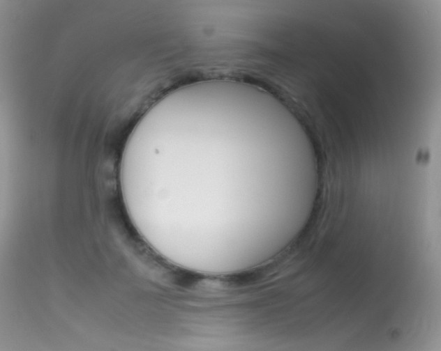 X0000113620699200909181116