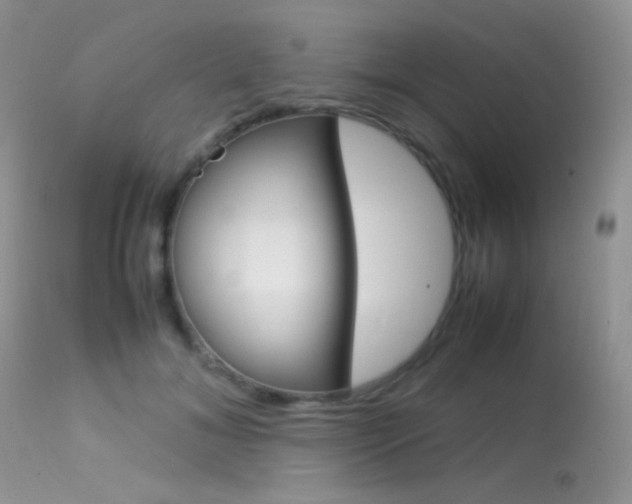 X0000113620700200909181116