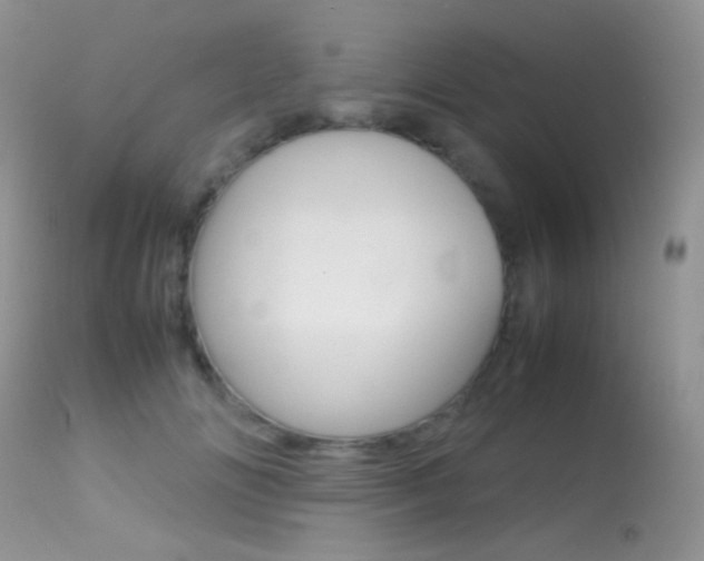 X0000113620702200909181116