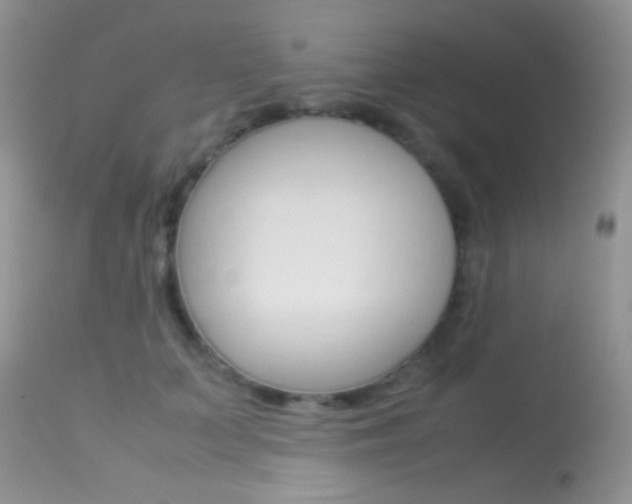 X0000113620703200909181116