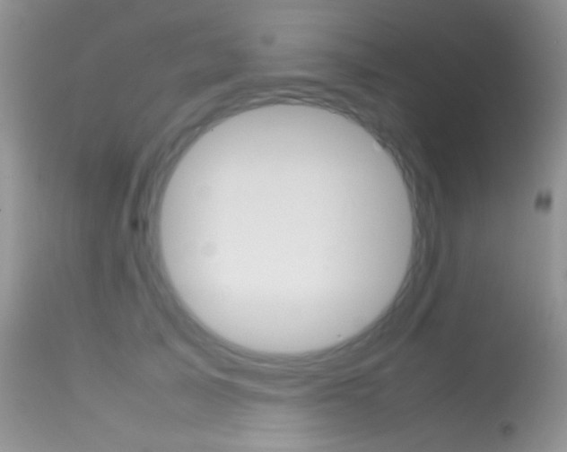 X0000113620705200909181116