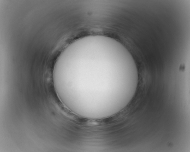 X0000113620706200909181116