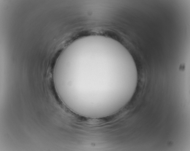 X0000113620707200909181116