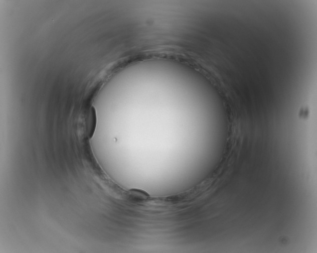 X0000113620708200909181116