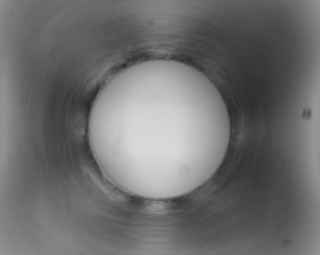 X0000113620710200909181116