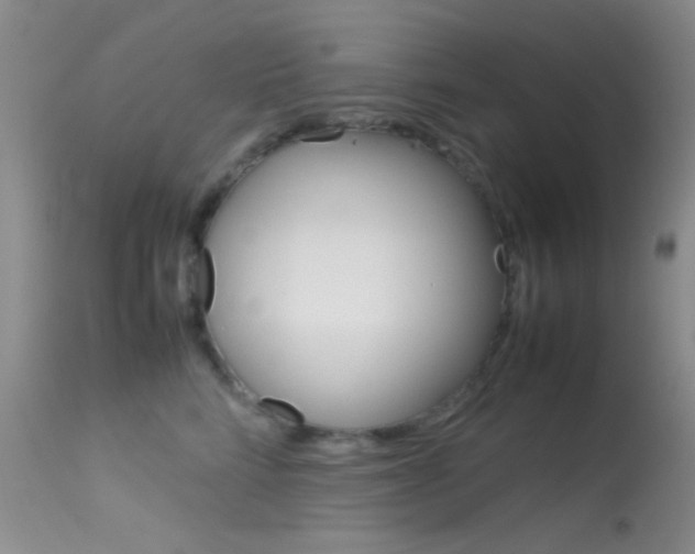 X0000113620712200909181116