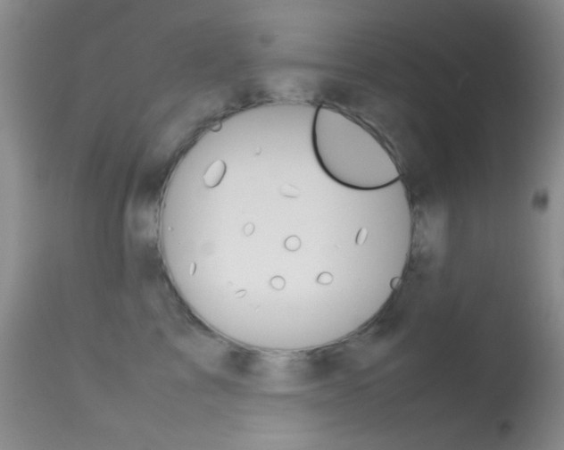 X0000113620713200909181116