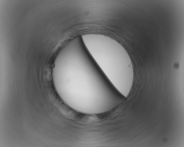 X0000113620715200909181116